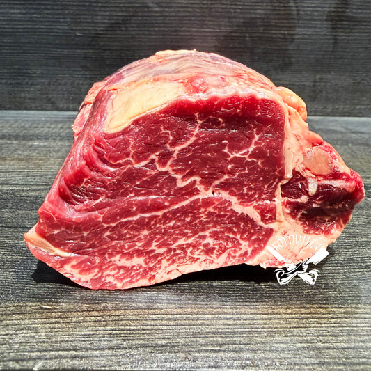 OXFILÉ, SASHI [AAA+]