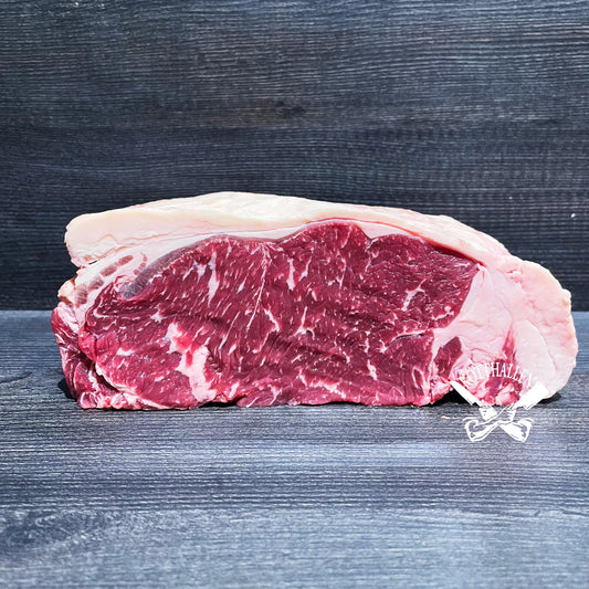 RYGGBIFF, SASHI [AAA+]